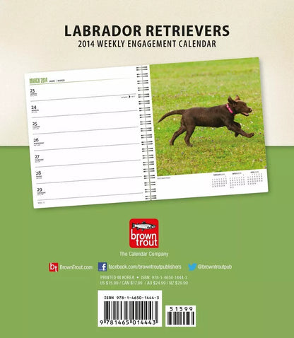 Labrador Retrievers 2014 Calendar