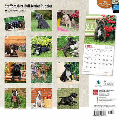 Staffordshire Bull Terrier Puppies 2015 18 Month Calendar