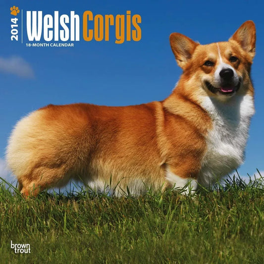 Welsh Corgis 2014 Calendar, 18-Month Calendar (Multilingual Edition)