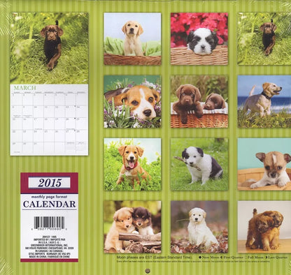 2015 Puppies 12 Month Calendar Includes 12 Month Mini Calendar