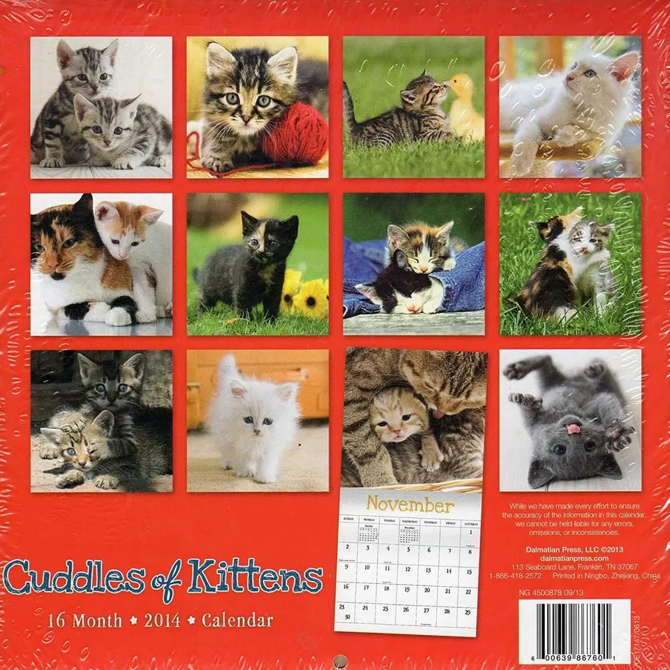 2014 Cuddles of Kittens 16 Month Calendar 8 X 8 Inches