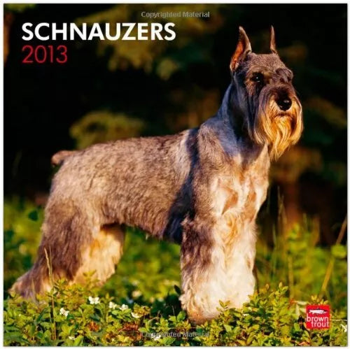 Schnauzers 2013 Square 12X12 Wall Calendar