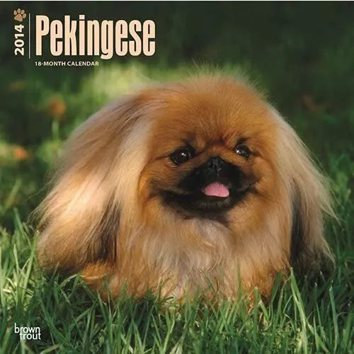 Pekingese 2014 Wall Calendar