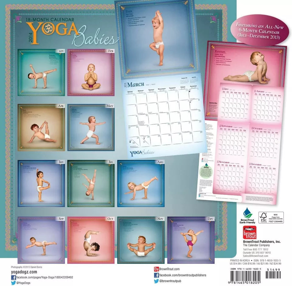 Yoga Babies 2014 Wall Calendar