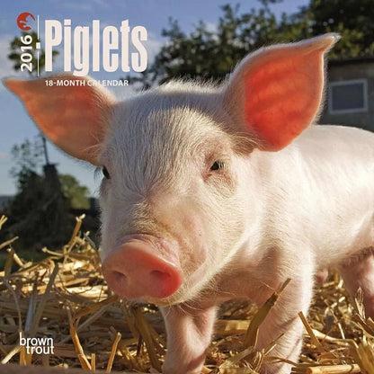 2016 Piglets Mini WALL Calendar