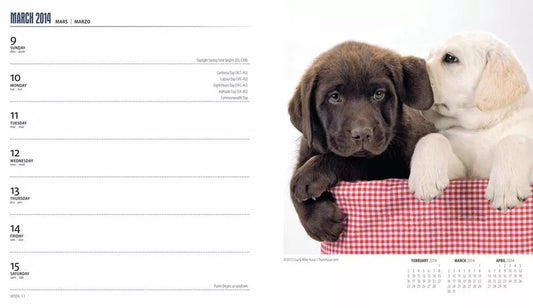 I Love Puppies 2014 Calendar