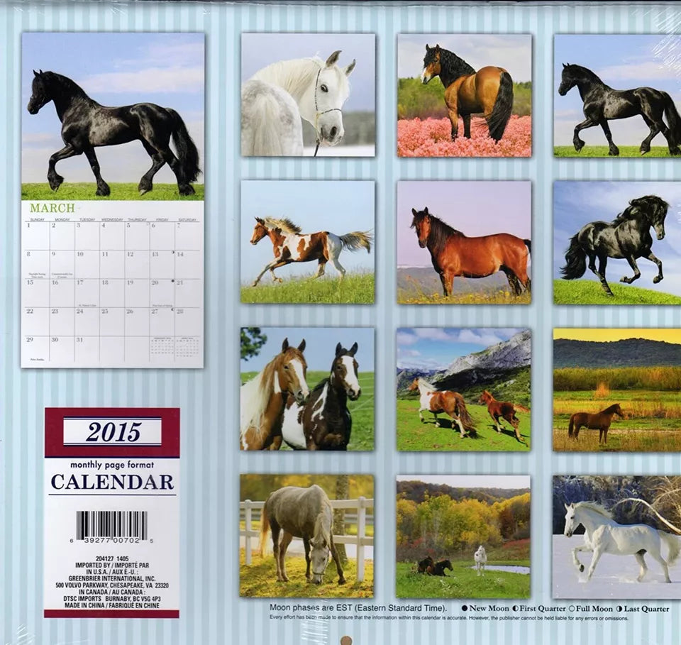 Horses 12 Month 2015 Calendar with 12 Month Mini Calendar