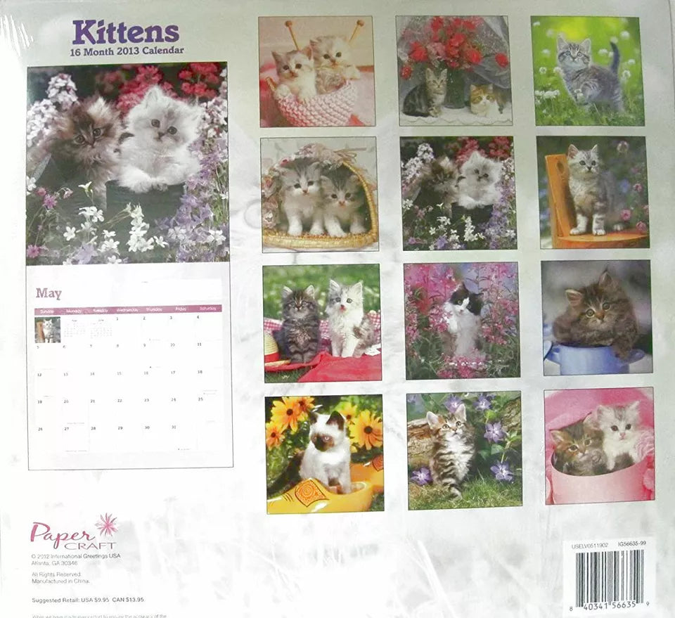 2013 Kittens 16 Month 12 X 12 Wall Calendar