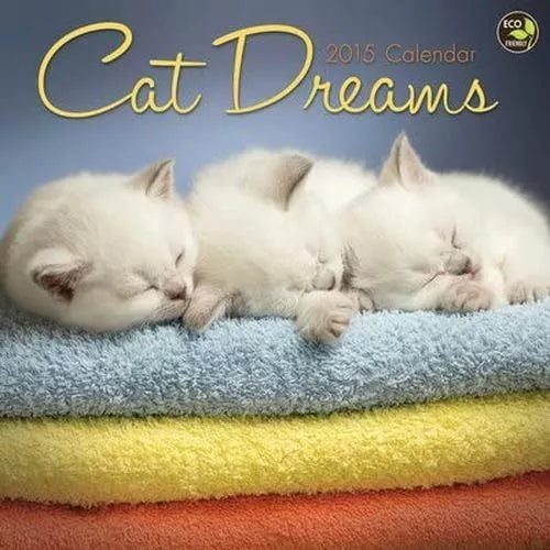 (12x12) Cat Dreams - 2015 Calendar