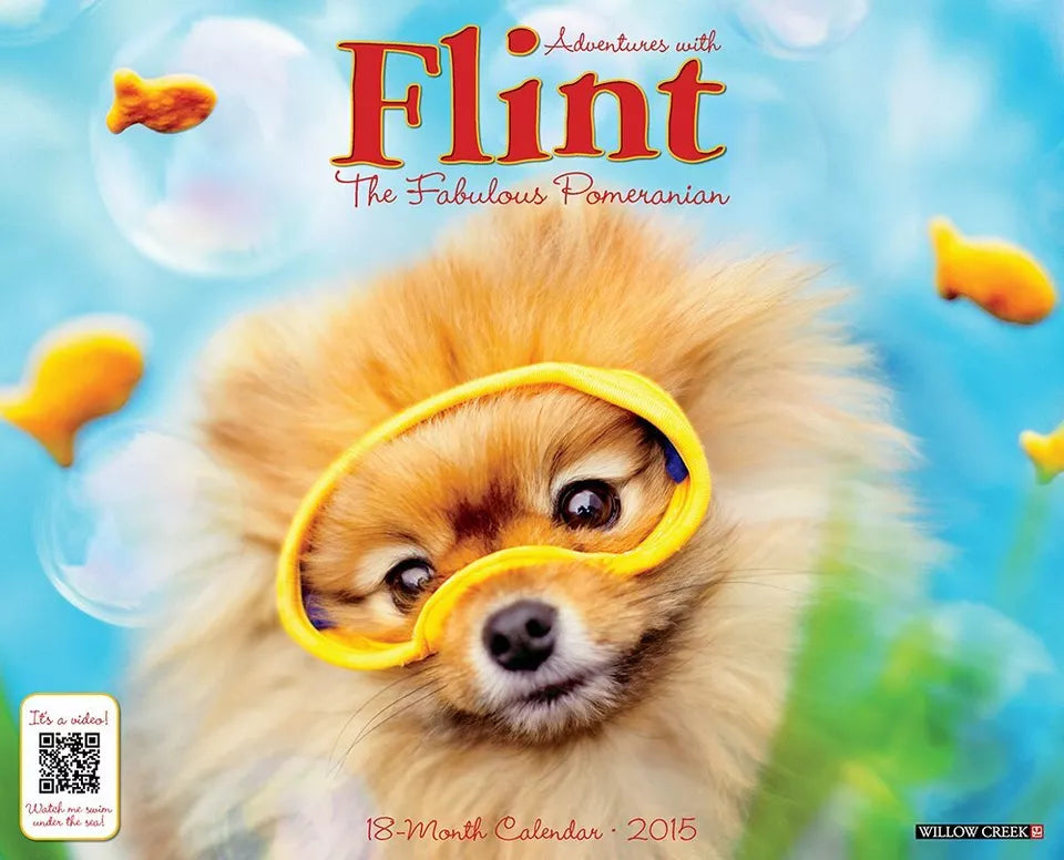 Flint the Pomeranian 2015 Wall Calendar