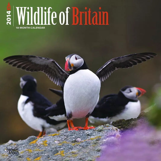 Wildlife of Britain (RSPCA) 2014 Wall Calendar