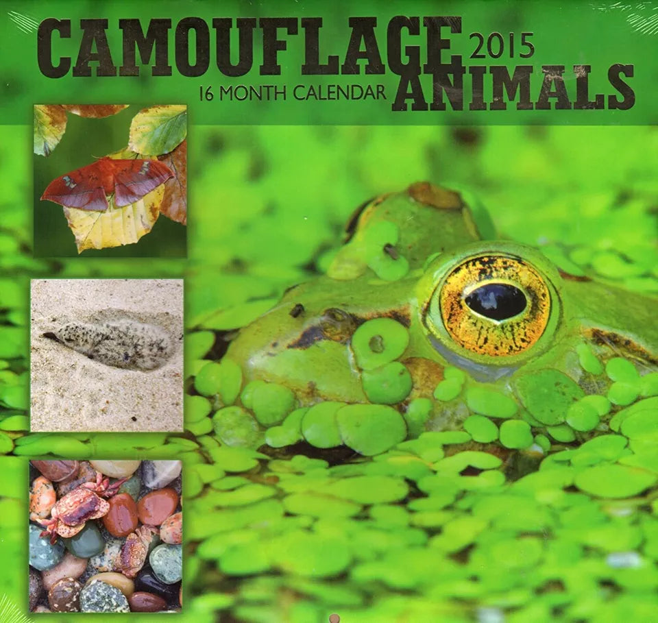 Camouflage Animals - 2015 16 Month Calendar