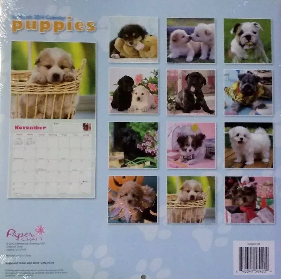 2014 - Puppies 16 Month Wall Calendar - 12x12 - NEW