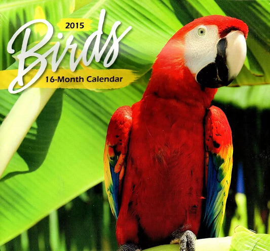 Birds - 2015 16 Month Wall Calendar - 12x11