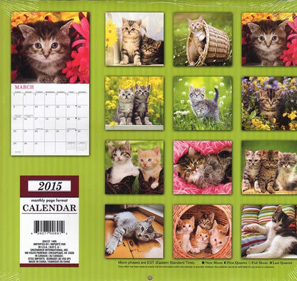 Kittens - 2015 12 Month Calendar Includes 12 Month Mini Calendar