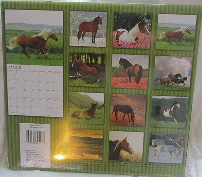 2015 Horses 16 Month Wall Calendar