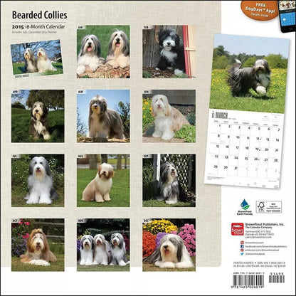 Bearded Collies 2015 Wall Calendar