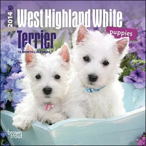 West Highland White Terrier Puppies - 2014 Mini Calendar