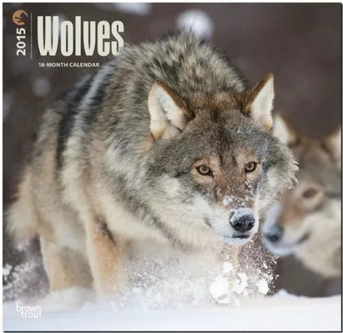 By BrownTrout Wolves 2015 Square 12x12 (Wal) [Calendar]