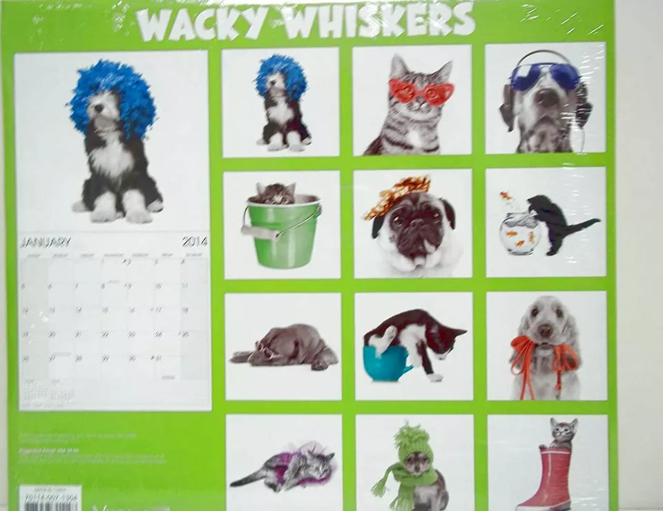 2014 Wacky Whiskers 16 Month Wall Calendar