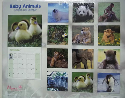 Baby Animals 2014 16-Month Wall Calendar 12in x 12in