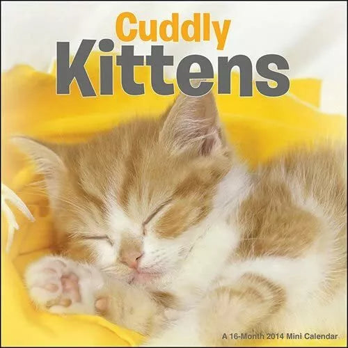 Cuddly Kittens 2014 Small Wall Calendar