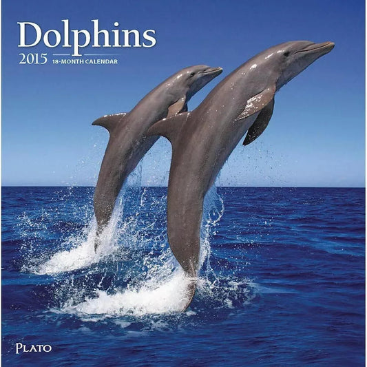 Dolphins 2015 Wall Calendar