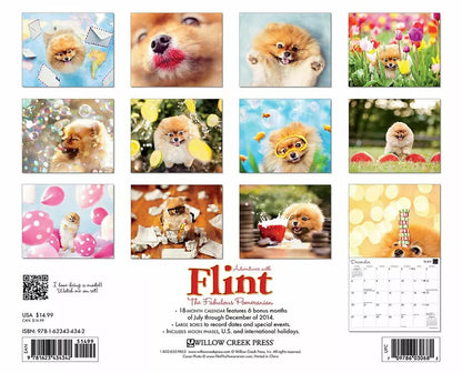 Flint the Pomeranian 2015 Wall Calendar