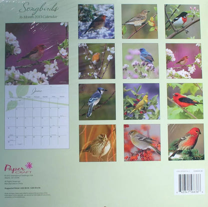 2013 Songbirds Calendar (12 x 12)