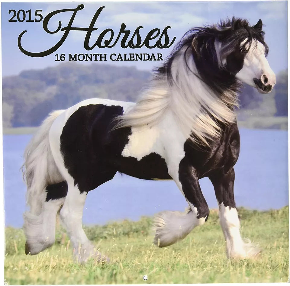 2015 Wall Calendar - 16 Month Horses Design