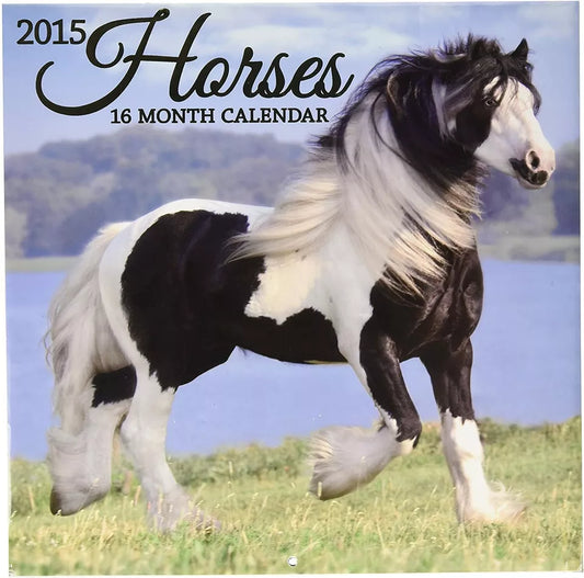 2015 Wall Calendar - 16 Month Horses Design