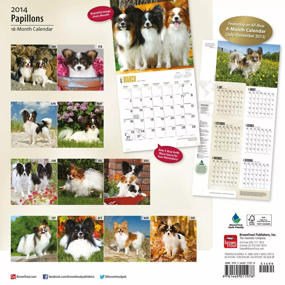 Papillons 18-Month 2014 Calendar