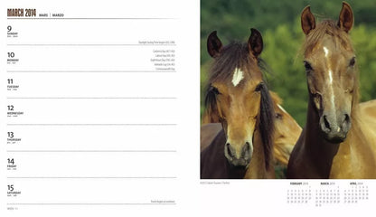 Horse Lovers 2014 Calendar (Multilingual Edition)