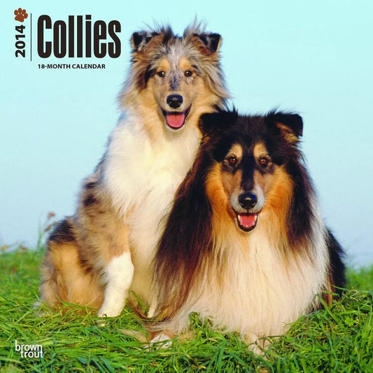 Collies 2014 Wall Calendar