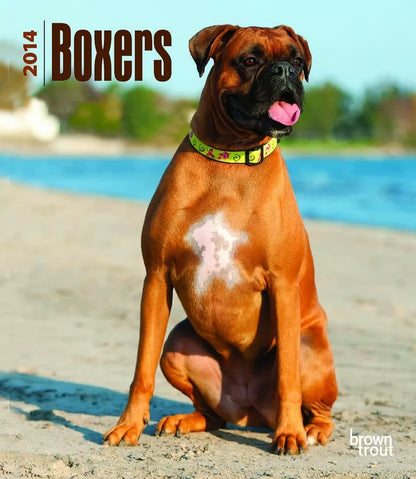 Boxers 2014 Calendar (Multilingual Edition)