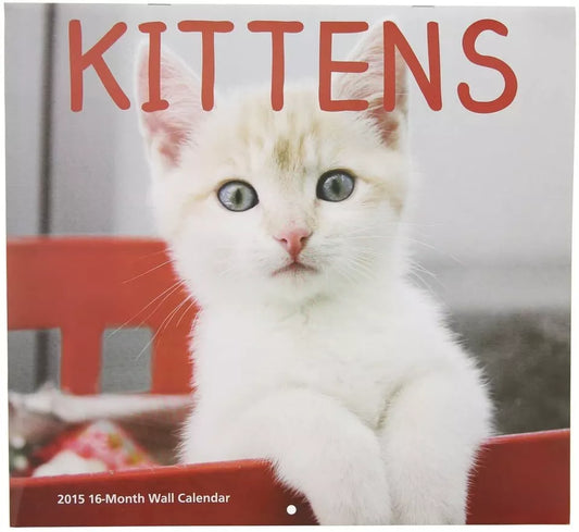 2015 Kittens 12x11 Vista Wall Calendar