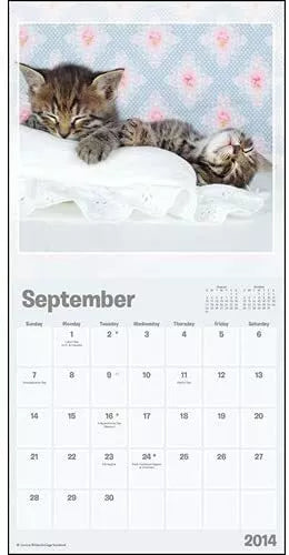 Cuddly Kittens 2014 Small Wall Calendar