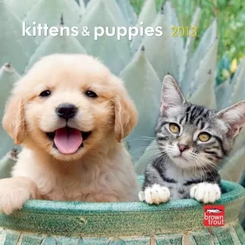 Kittens & Puppies 2013 Small Wall Calendar