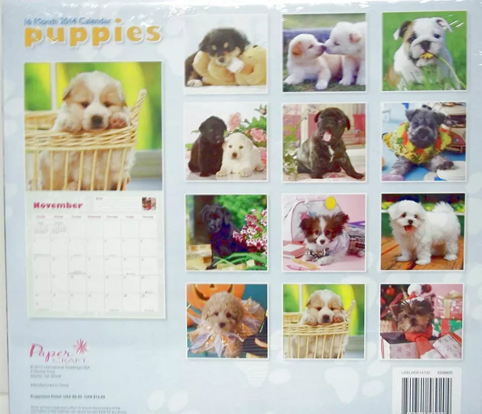 Puppies (Paper Craft) 2014 16-Month Wall Calendar 12in x 12in