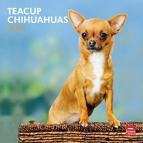 2013 Calendar Teacup Chihuahuas 2013 Wall Calendar