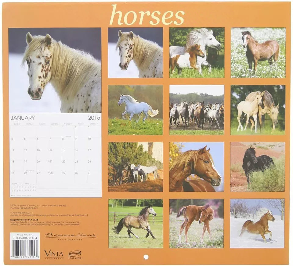 1 X 2015 Horses 12x11 Vista 16-Month Wall Calendar